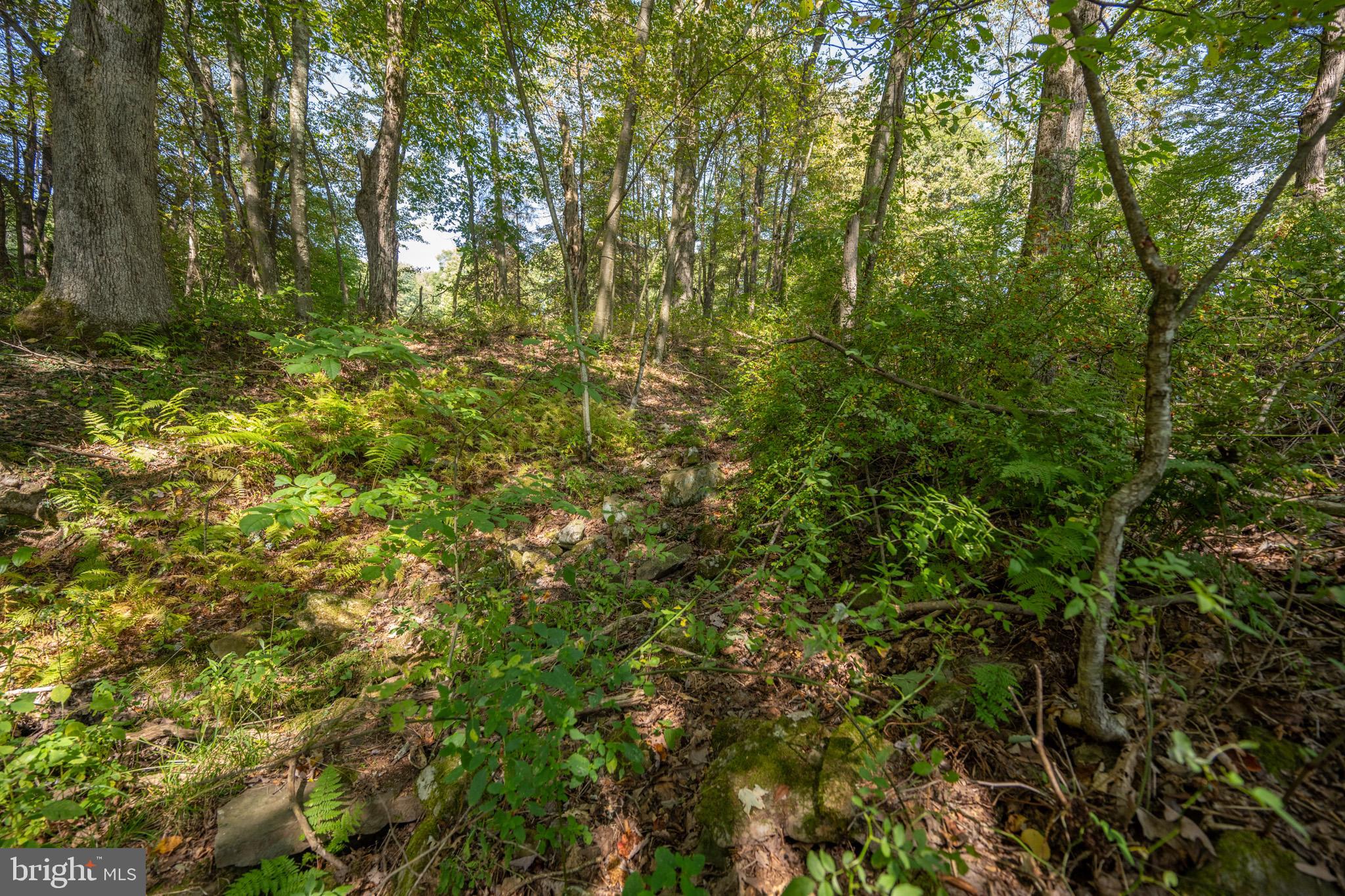 3348-3360 Cove Road Accident, MD 21520 - Photo 23 of 30