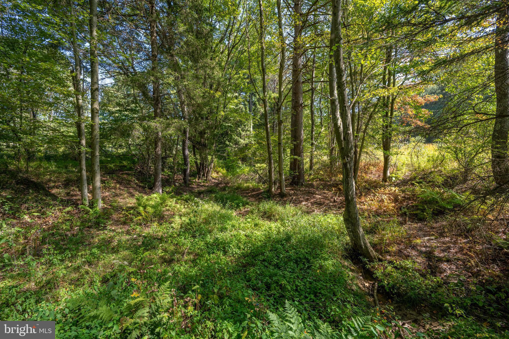 3348-3360 Cove Road Accident, MD 21520 - Photo 24 of 30