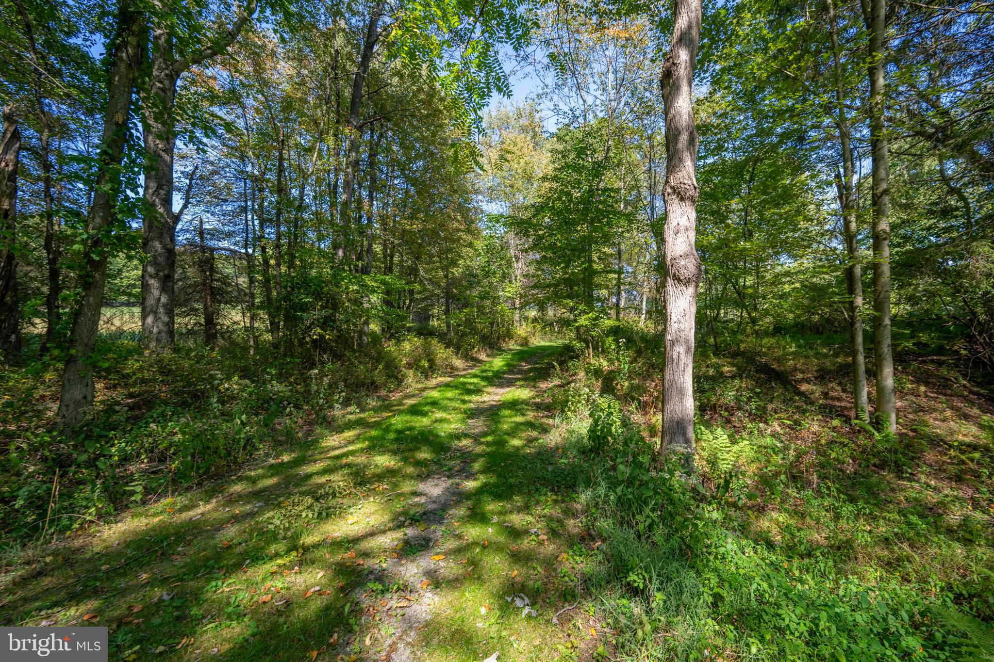 3348-3360 Cove Road Accident, MD 21520 - Photo 25 of 30