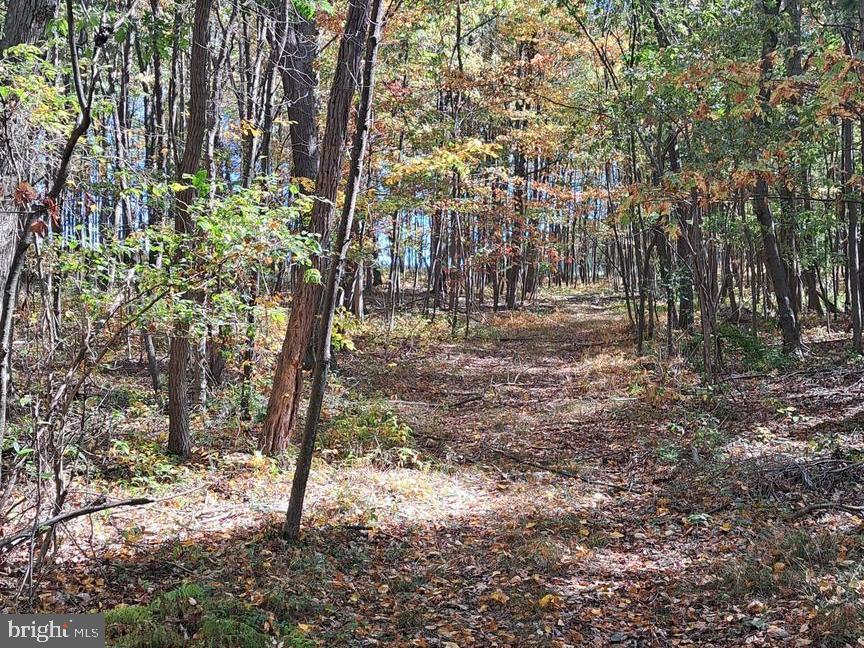 3348-3360 Cove Road Accident, MD 21520 - Photo 29 of 30