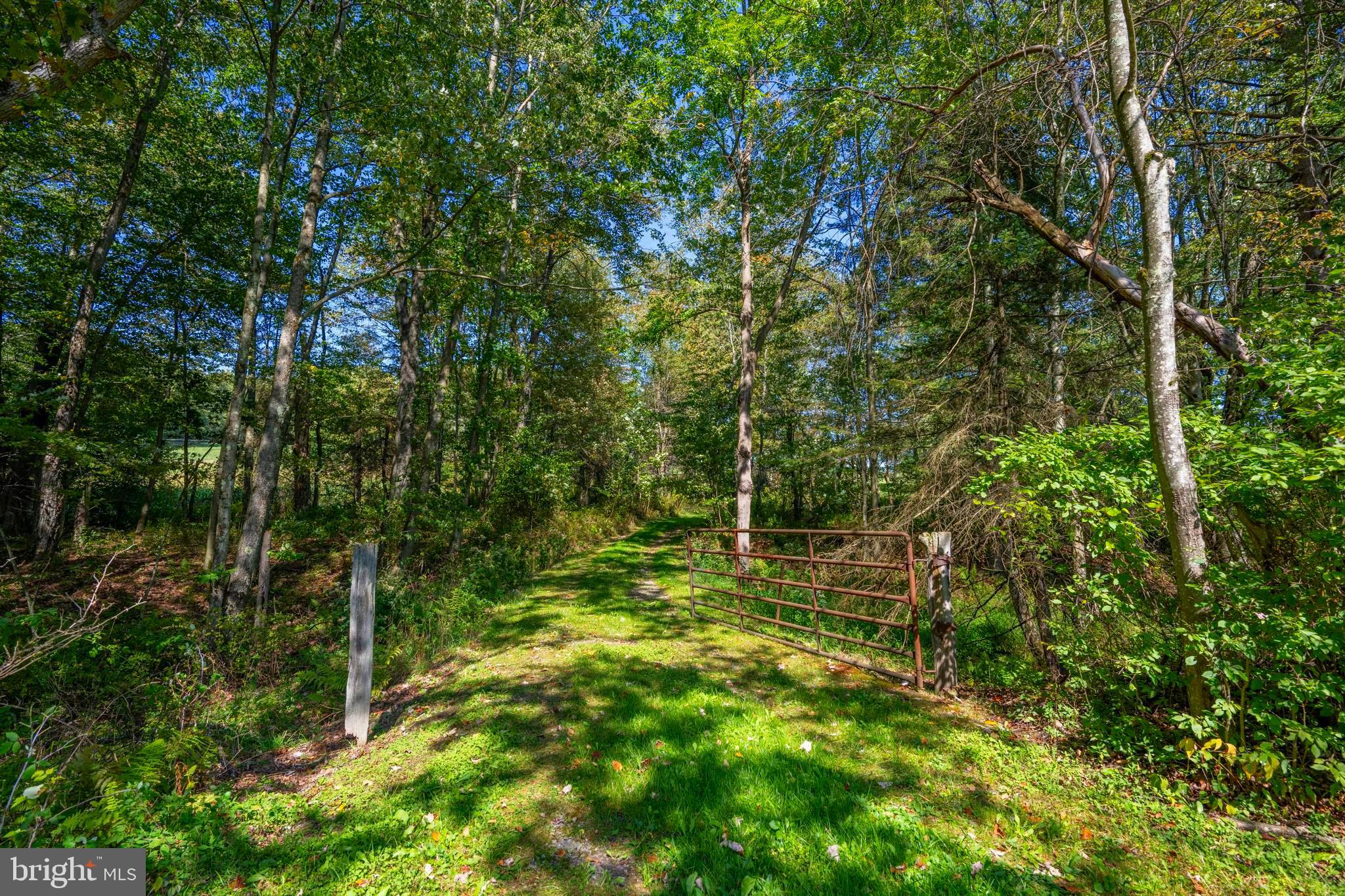 3348-3360 Cove Road Accident, MD 21520 - Photo 9 of 30