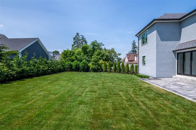 a view of a backyard with potted plants and a large tree