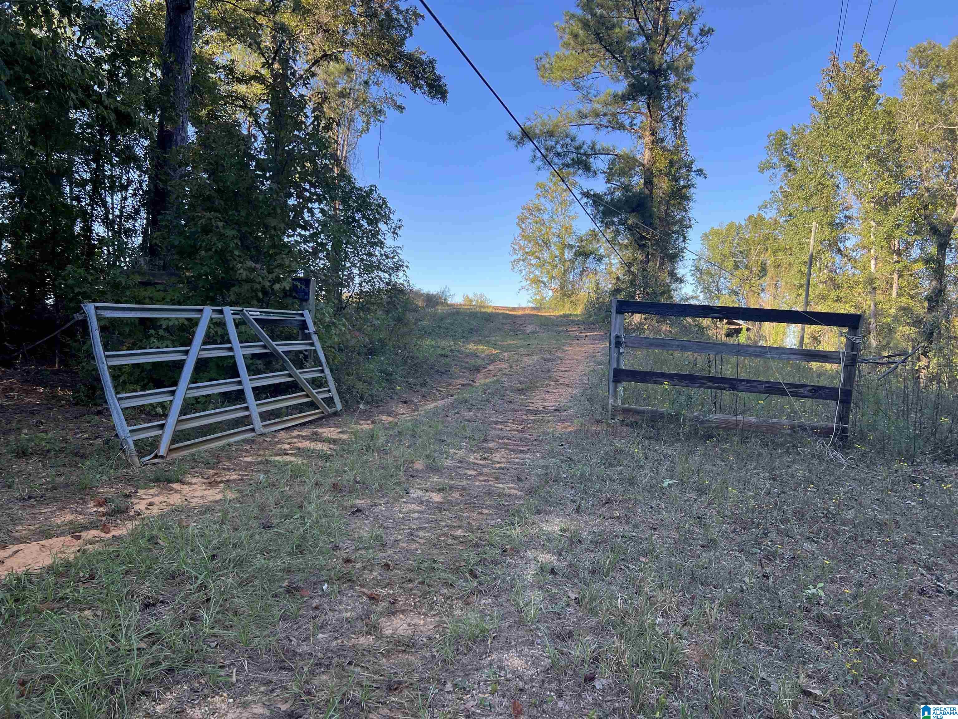 0 Payne Lk Road, Unit 1 Brent, AL 35034 - Photo 6 of 9