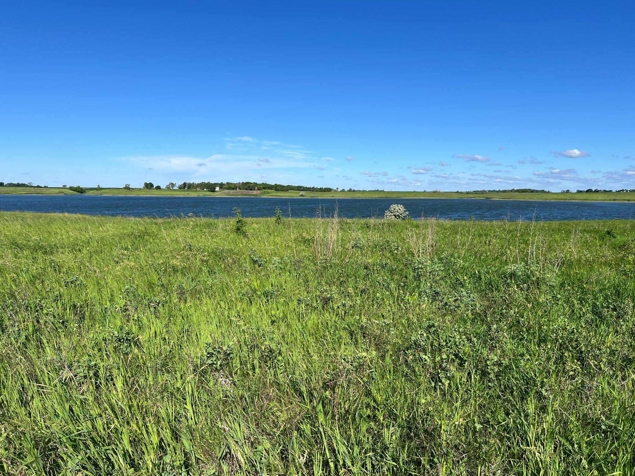 Tbd Southeast Tbd Se 90th Street Rutland, ND 58067 - Photo 41 of 105