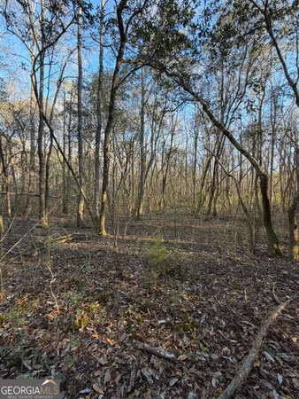 a view of a yard with trees