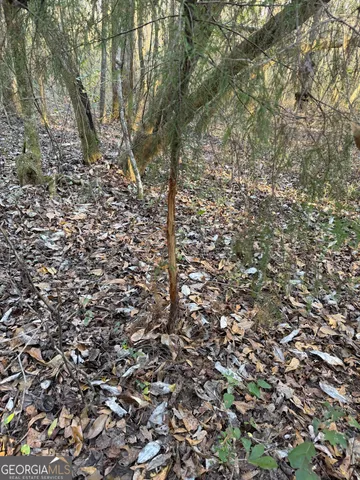 $50,000 | 13990 Highway 27, Lumpkin, GA 31815