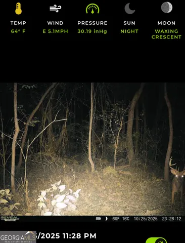 $50,000 | 13990 Highway 27, Lumpkin, GA 31815