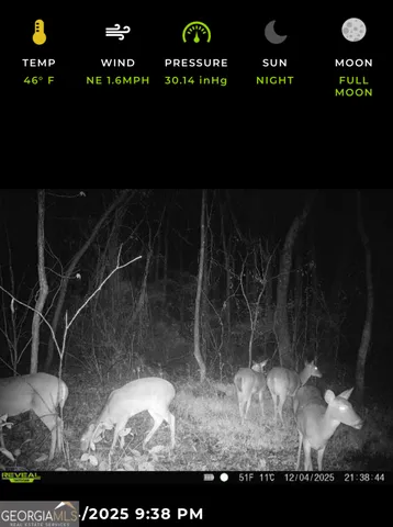 $50,000 | 13990 Highway 27, Lumpkin, GA 31815