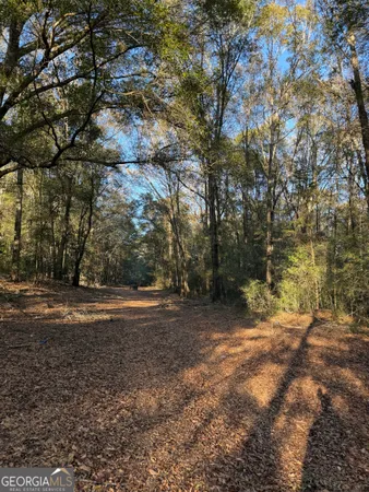 a view of a yard with a tree