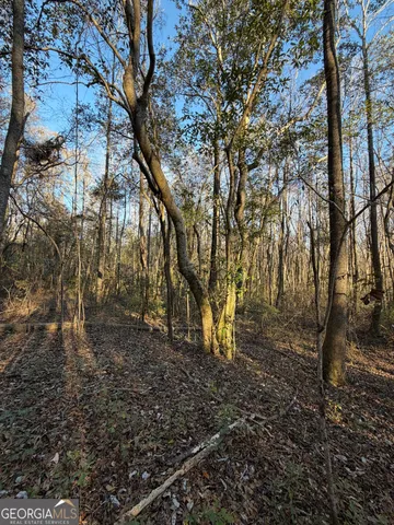 $50,000 | 13990 Highway 27, Lumpkin, GA 31815