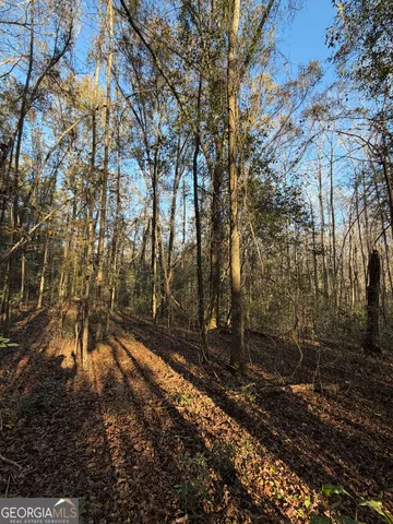 $50,000 | 13990 Highway 27, Lumpkin, GA 31815