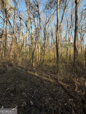 a view of a yard