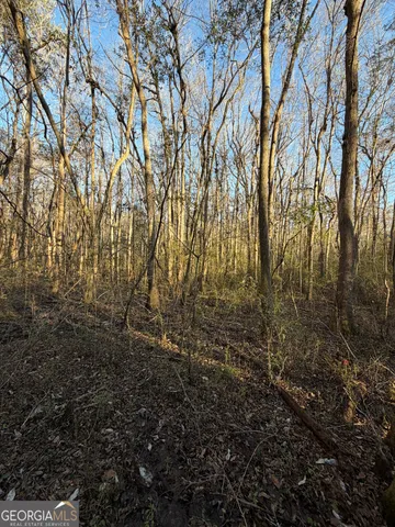 $50,000 | 13990 Highway 27, Lumpkin, GA 31815