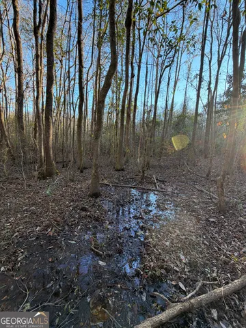 $50,000 | 13990 Highway 27, Lumpkin, GA 31815