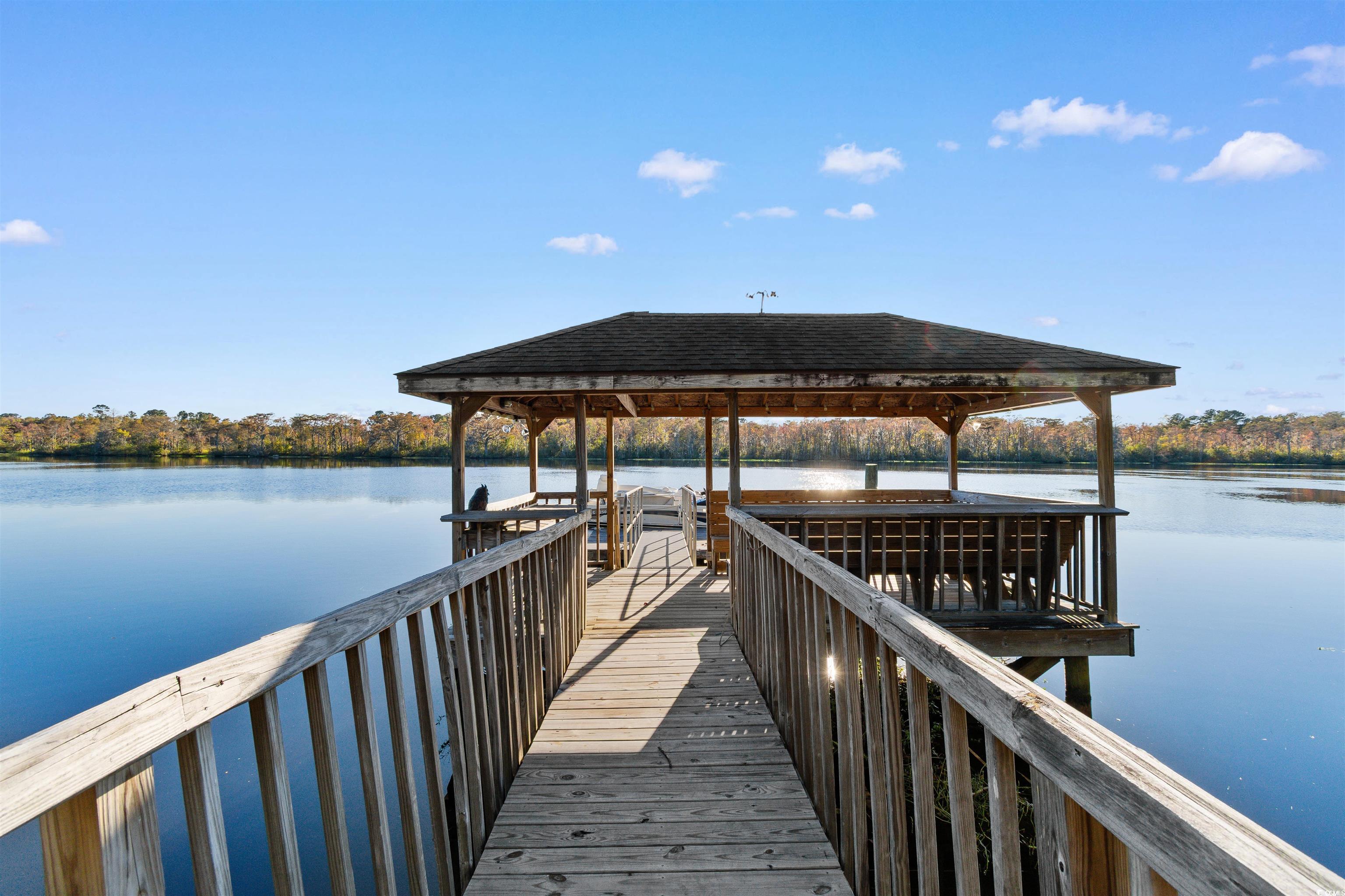 280 Mary George Lane Georgetown, SC 29440 - Photo 28 of 34