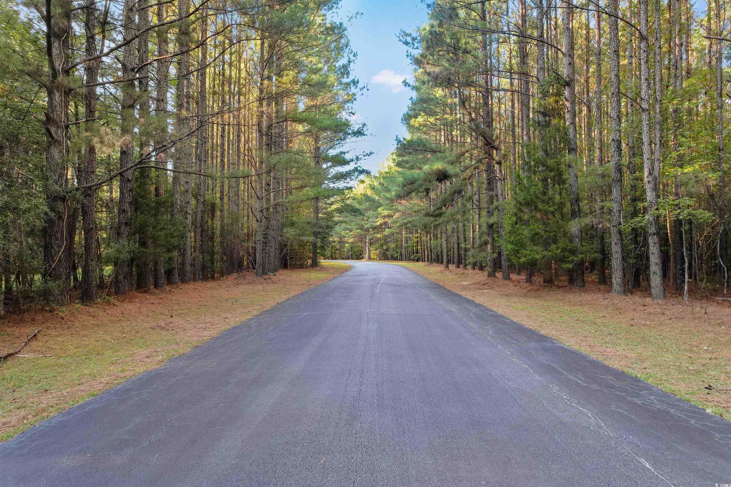 280 Mary George Lane Georgetown, SC 29440 - Photo 32 of 34