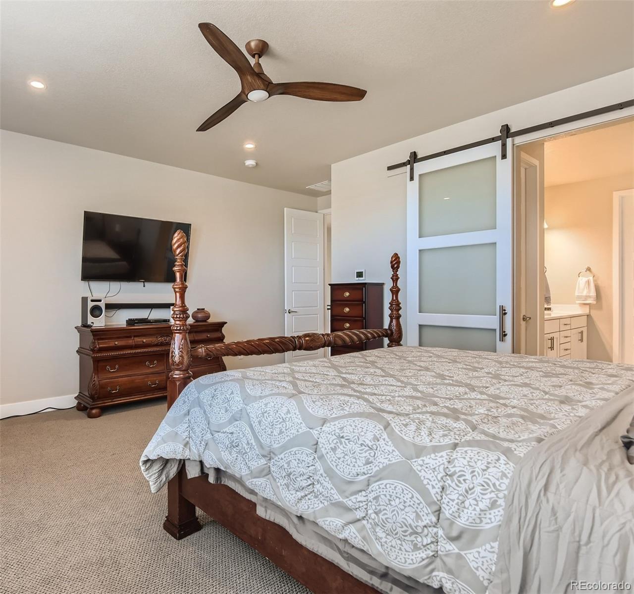 533 Red Thistle Drive Highlands Ranch, CO 80126 - Photo 12 of 24