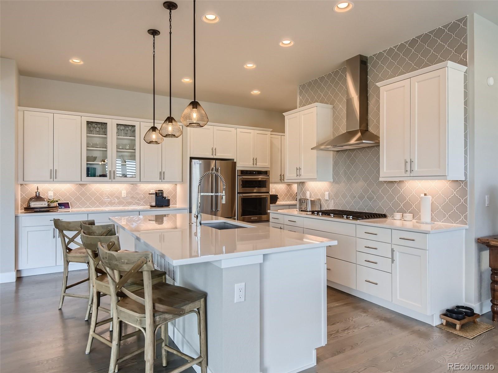 533 Red Thistle Drive Highlands Ranch, CO 80126 - Photo 3 of 24