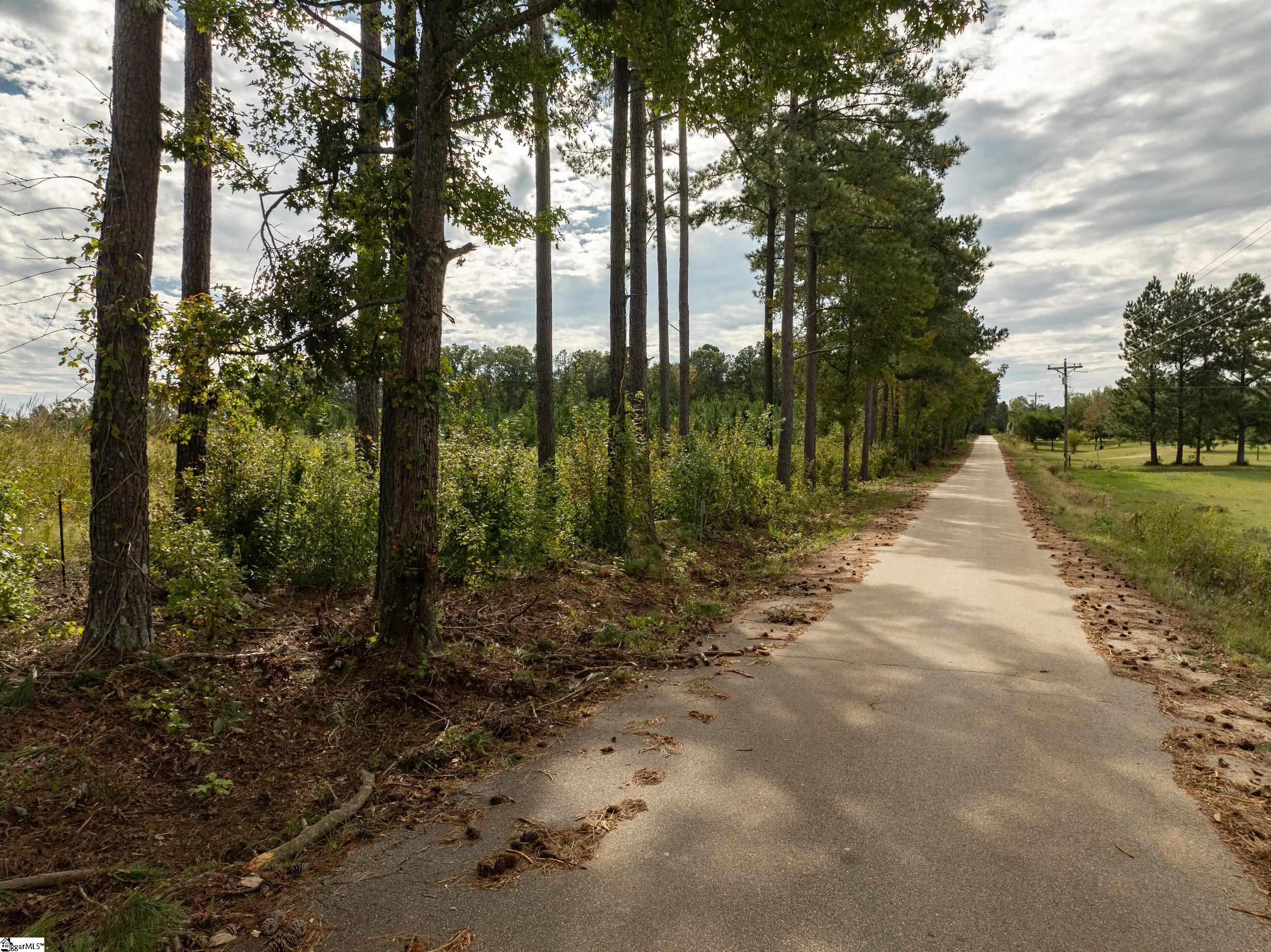 4 Lake Road Clinton, SC 29325 - Photo 16 of 17 Gallery Image 16