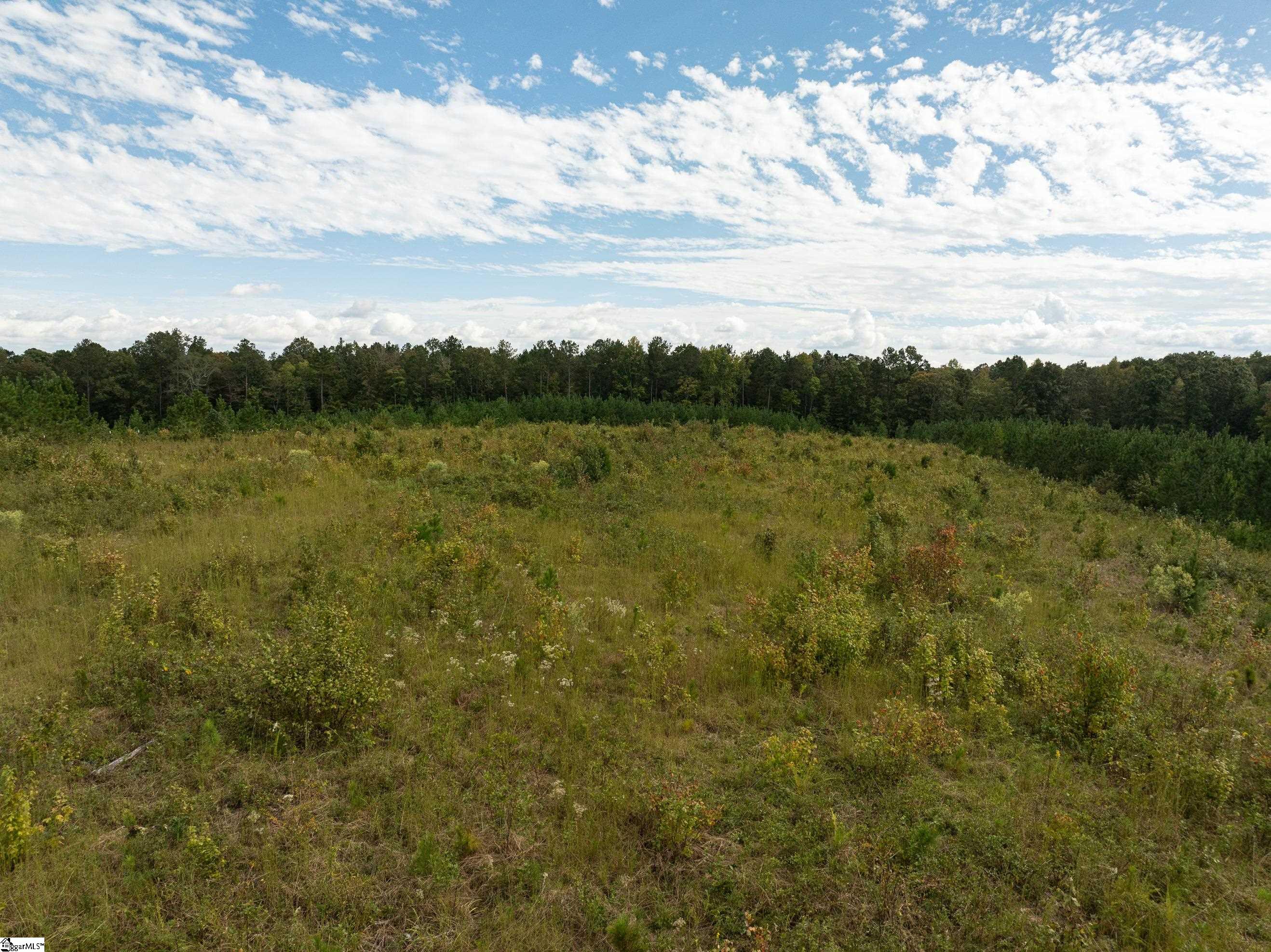 4 Lake Road Clinton, SC 29325 - Photo 10 of 17 Gallery Image 10