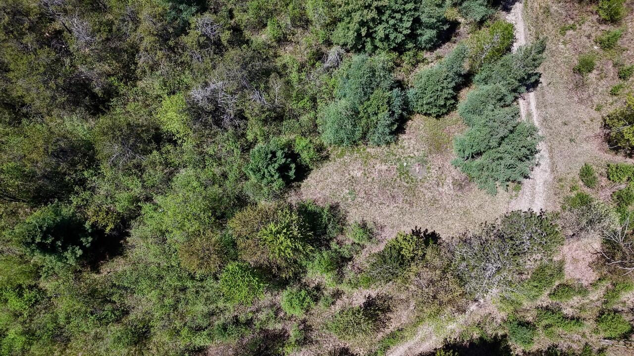 La Grant Road Alger, MI 48610 - Photo 23 of 46 018