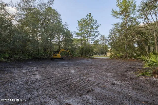 a view of a garden with plants and a bench