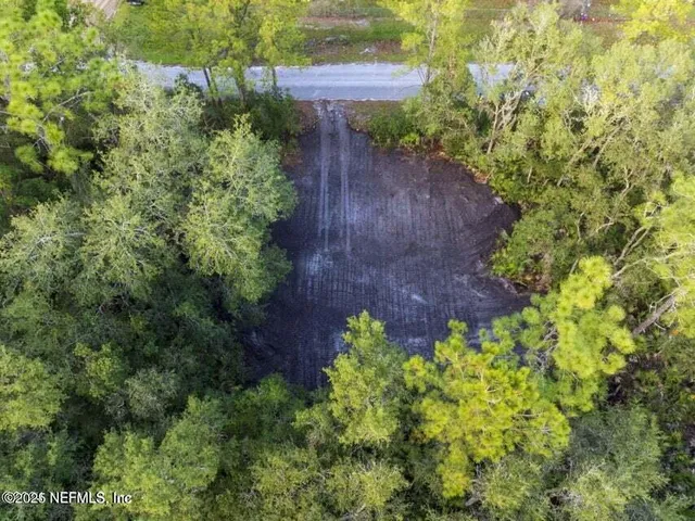 a plant that is in a garden