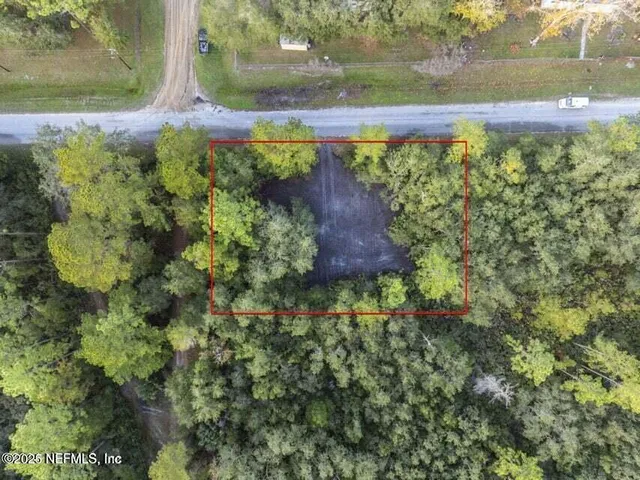 a view of a yard with a tree