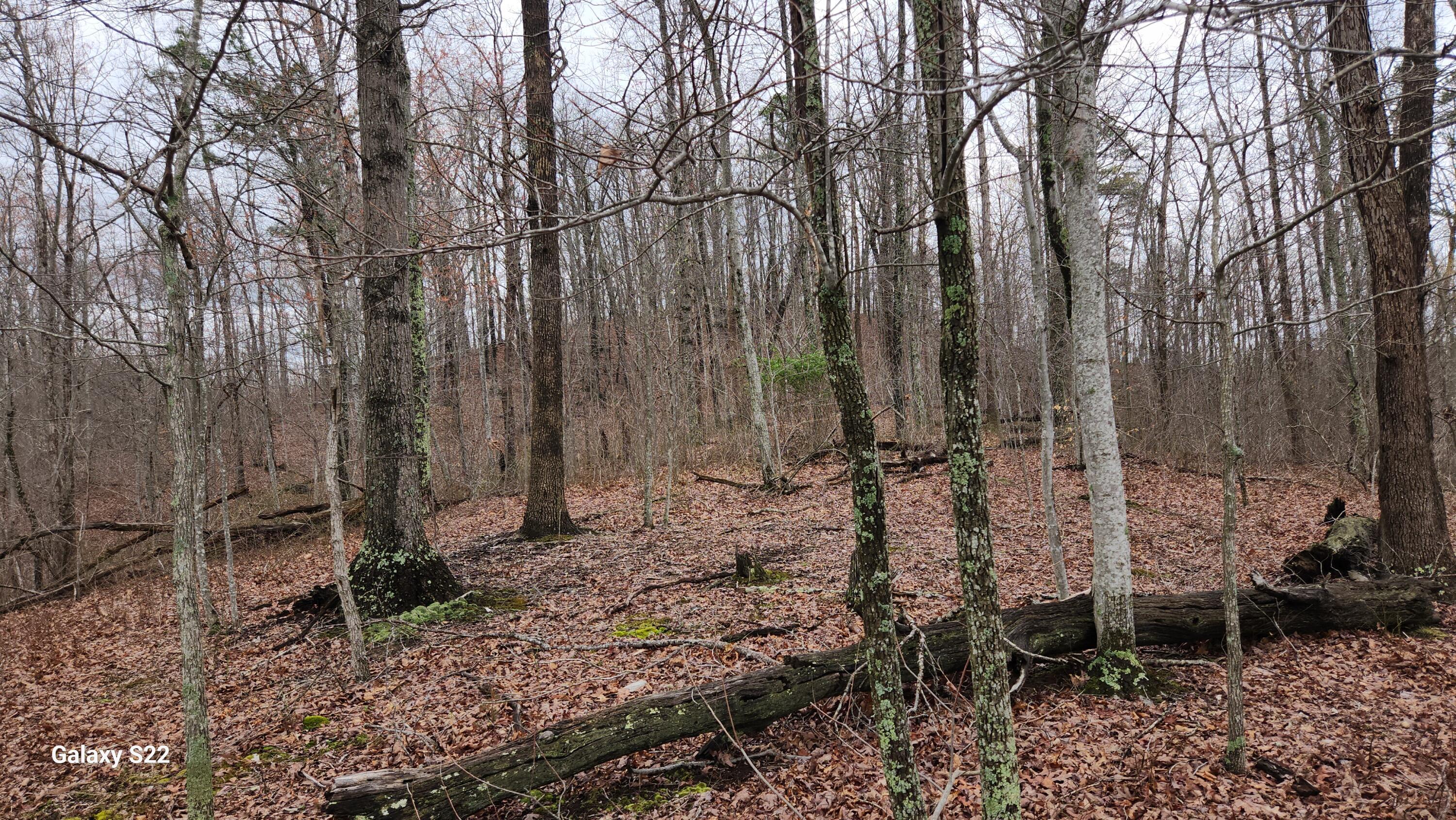 3504 East Fork Road Means, KY 40346 - Photo 7 of 11 20250405_174815