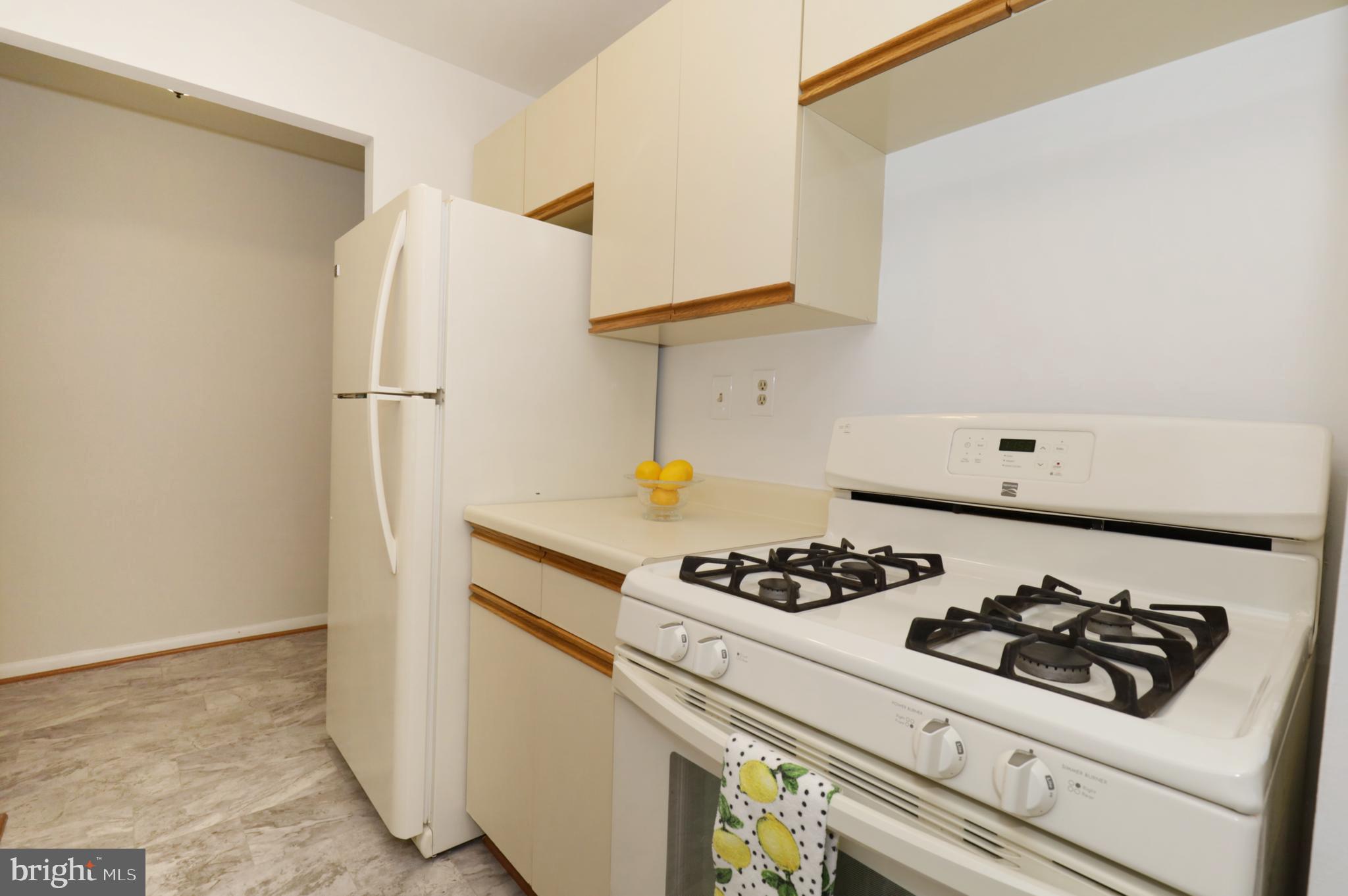 7093 Spring Garden Drive, Unit 101 Springfield, VA 22150 - Photo 14 of 23 a kitchen with a stove and a refrigerator