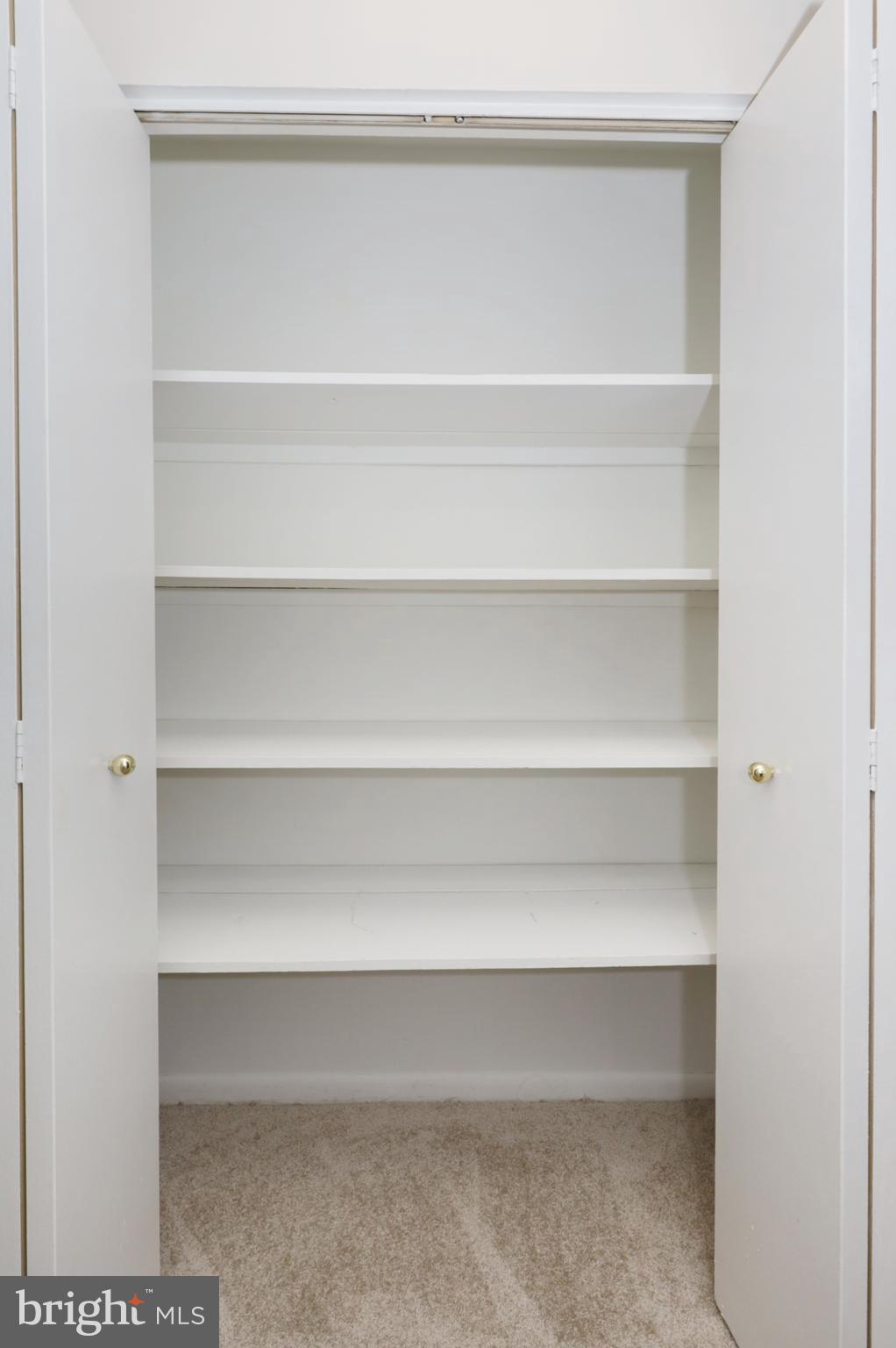 7093 Spring Garden Drive, Unit 101 Springfield, VA 22150 - Photo 21 of 23 a view of walk in closet with empty racks