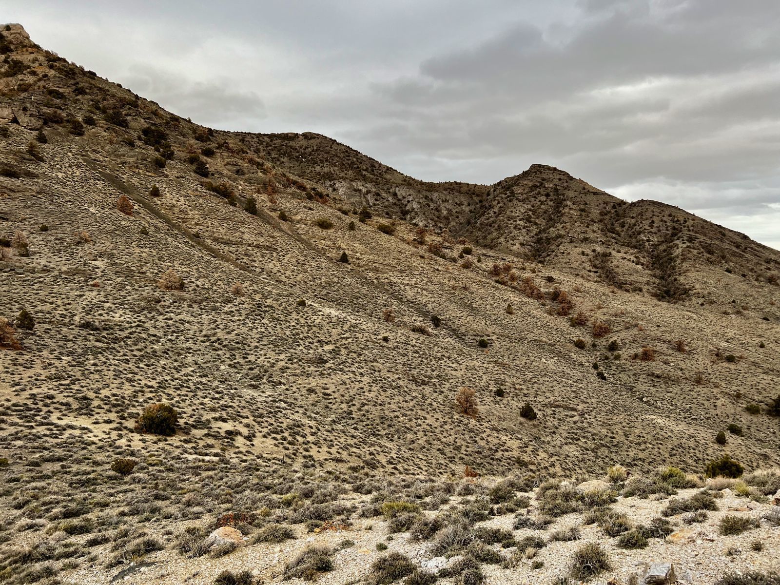 Na Ridge Montello, NV 89830 - Photo 10 of 25