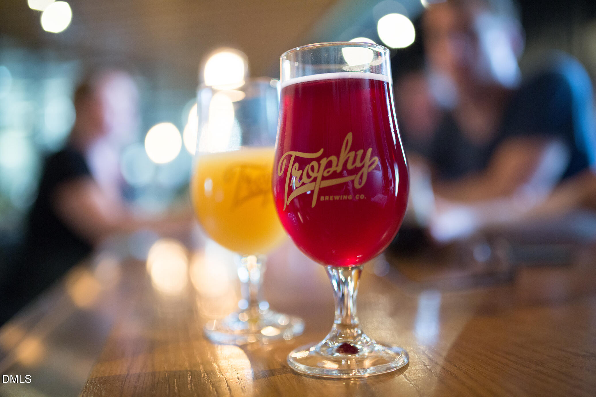 1511 Core Pointe Court Raleigh, NC 27603 - Photo 25 of 28 Lifestyle_EX_Trophy_BrianStrickland