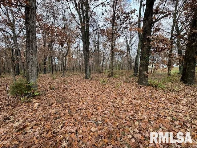 $299,900 | 5267 Old North Road, Christopher, IL 62822