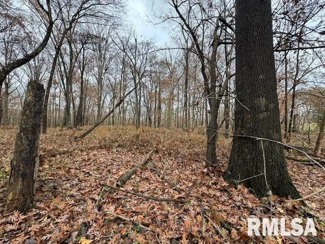 $299,900 | 5267 Old North Road, Christopher, IL 62822