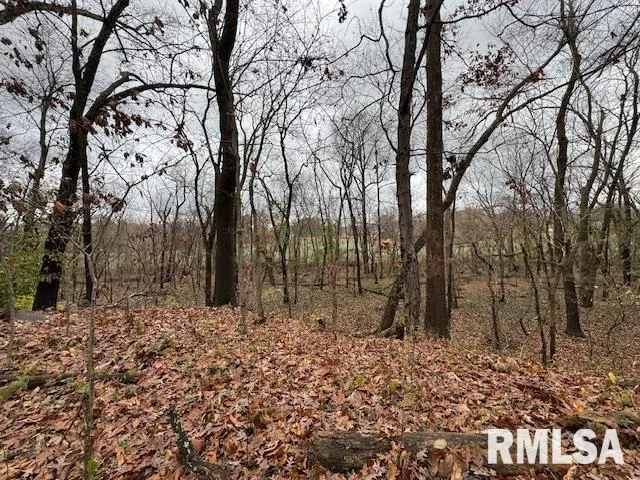 $299,900 | 5267 Old North Road, Christopher, IL 62822