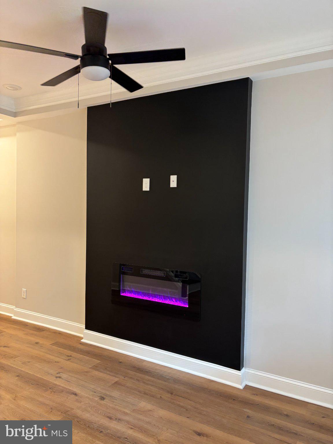 5300 Maple Avenue Baltimore, MD 21215 - Photo 3 of 13 Sleek modern wall with electric fireplace.