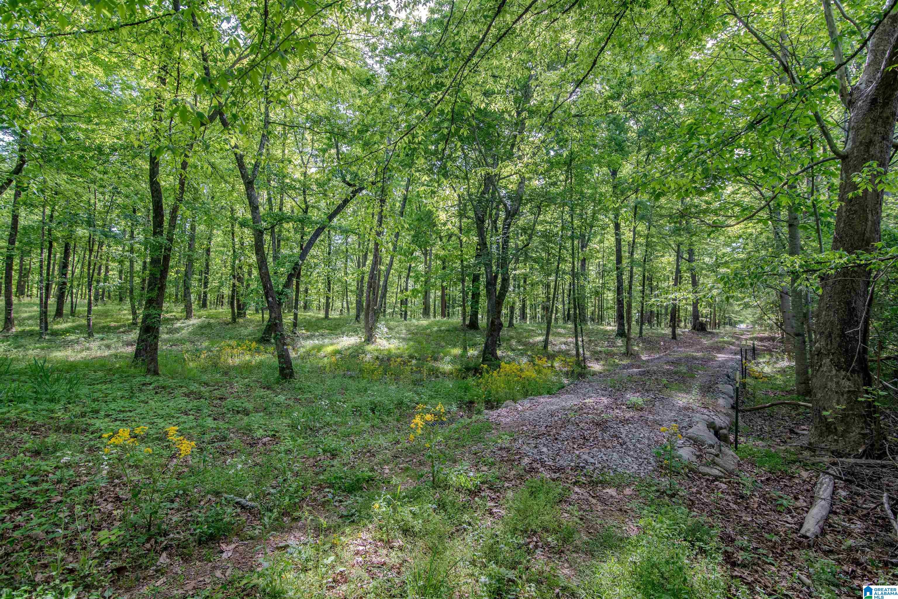 Apple Grove Road, Unit 4 Somerville, AL 35670 - Photo 7 of 19 Gallery Image 7