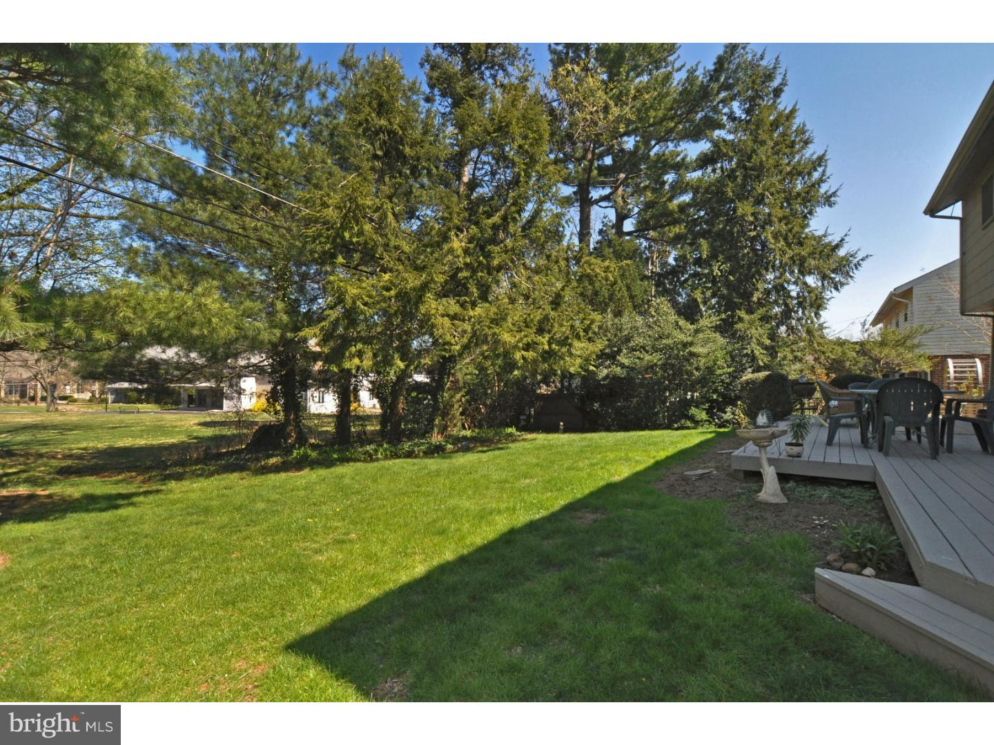 527 Davis Road Cheltenham, PA 19012 - Photo 25 of 25 Back Yard