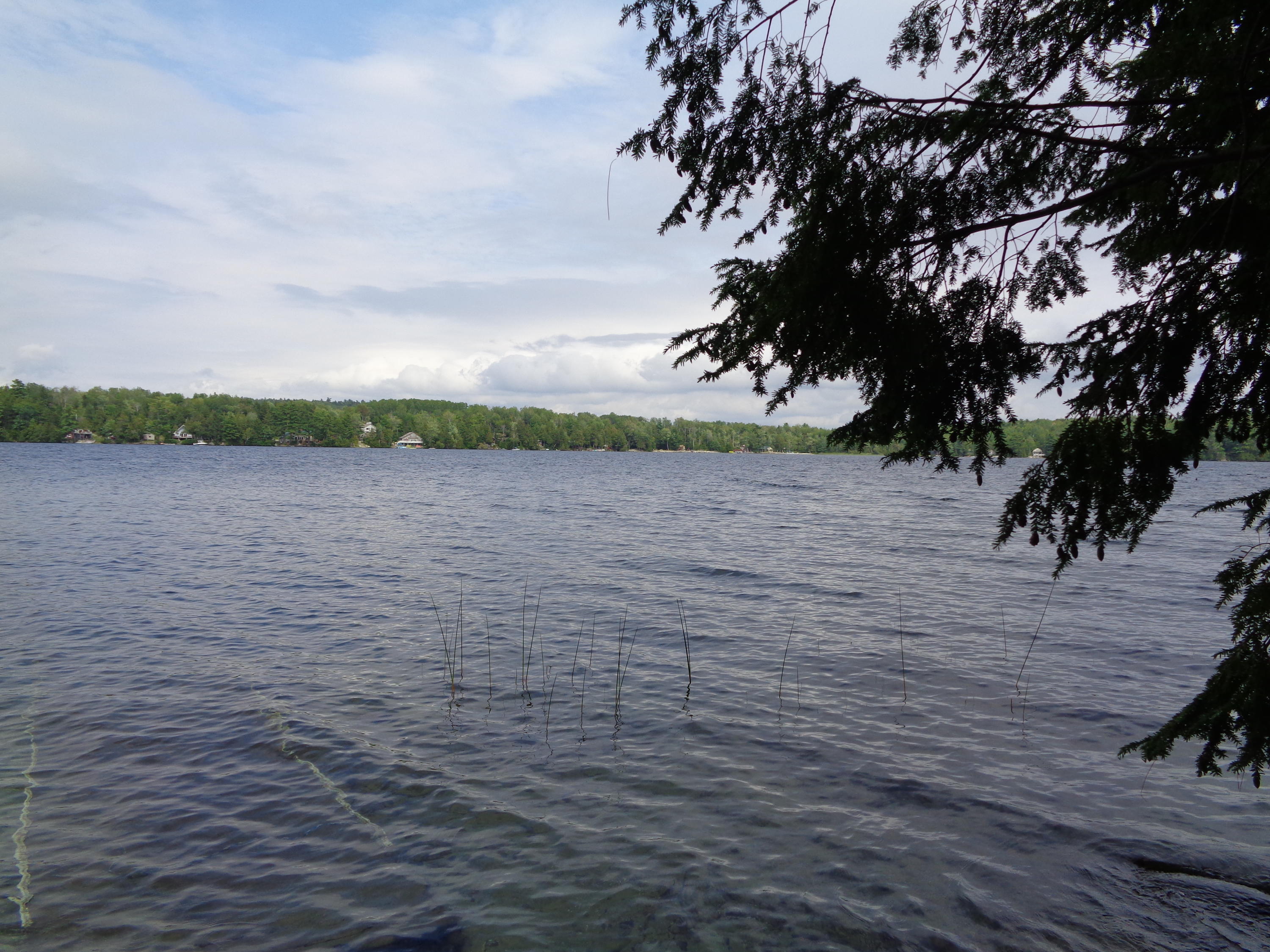 523 Point Road Ellsworth, ME 04605 - Photo 17 of 18 DSC05568
