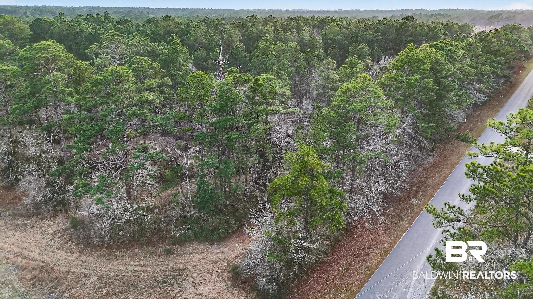 0 Hemley Road Bayou La Batre, AL 36509 - Photo 5 of 28