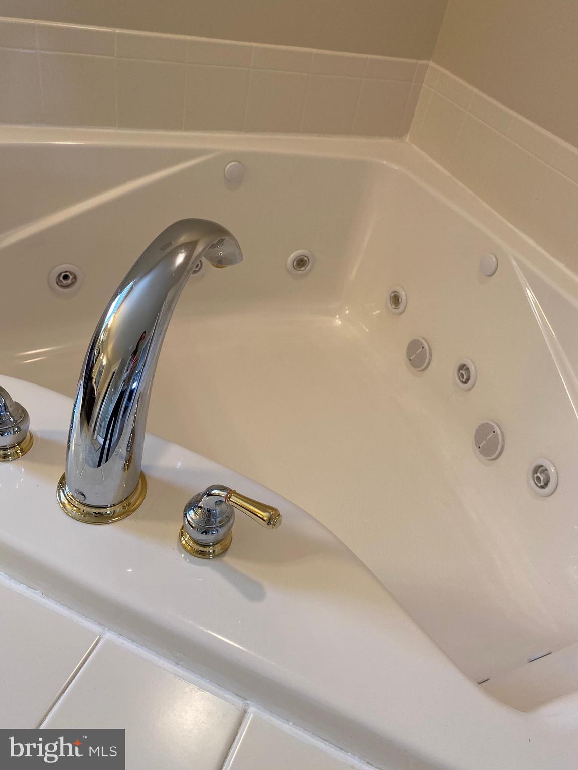 396 Ecker Drive Lititz, PA 17543 - Photo 35 of 76 Soaking tub