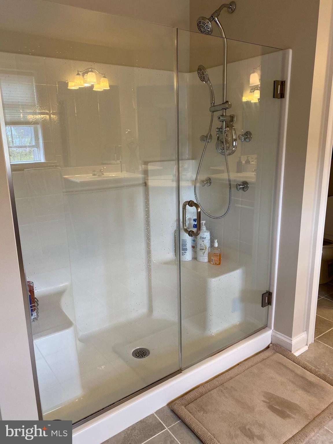 396 Ecker Drive Lititz, PA 17543 - Photo 36 of 76 Large shower