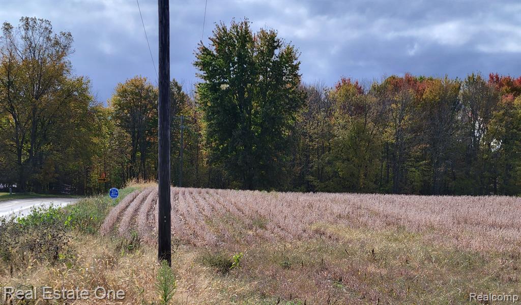 2 South Blacks Corners Road Imlay City, MI 48444 - Photo 6 of 13 Gallery Image 6