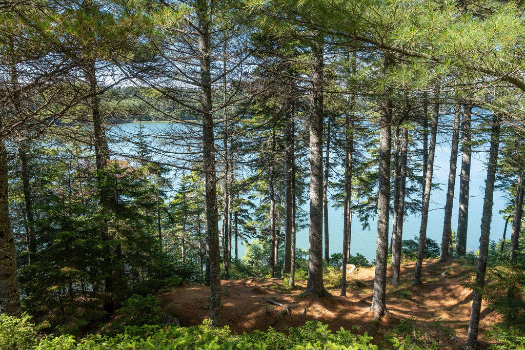0 Inner Hbr Road Stonington, ME 04681 - Photo 41 of 50 InnerHarborcamp-43