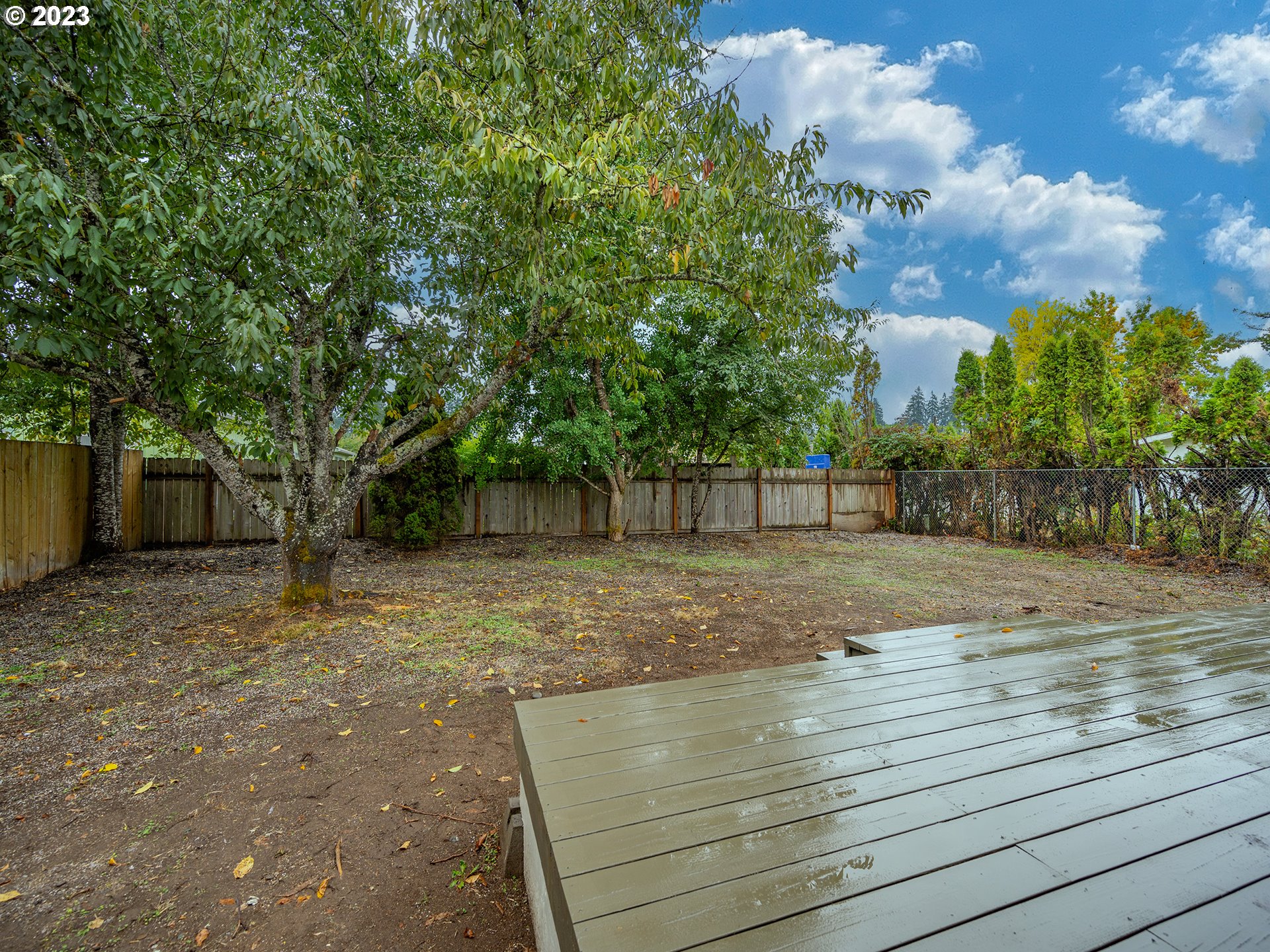 5131 Daisy Street Springfield, OR 97478 - Photo 33 of 45 a view of a backyard