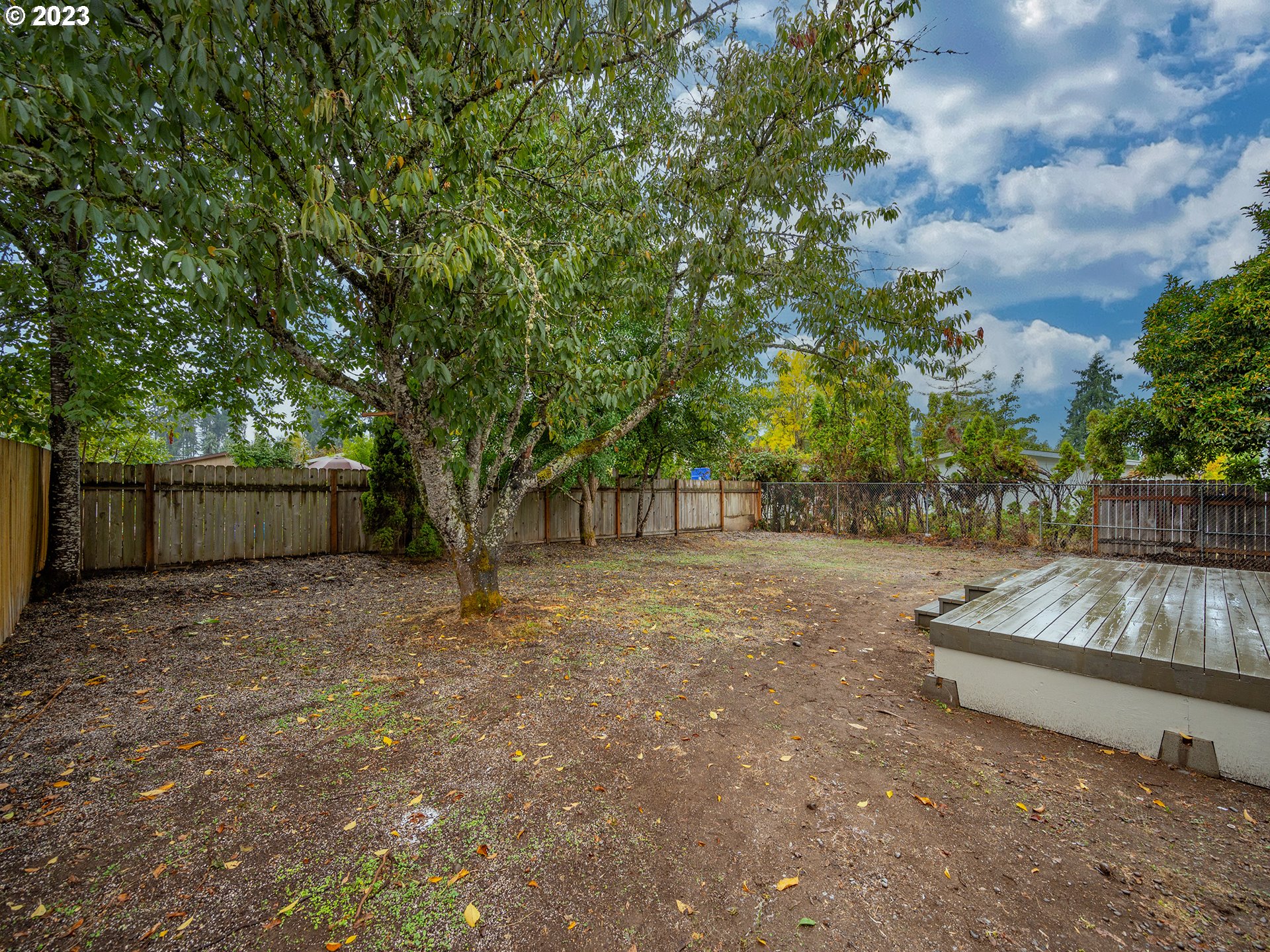 5131 Daisy Street Springfield, OR 97478 - Photo 37 of 45 a view of backyard with green space