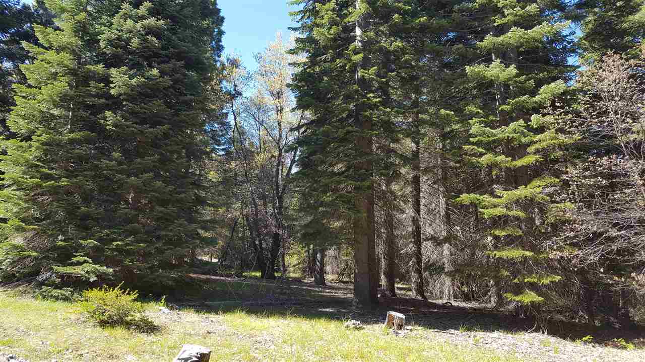 1999 Deetz Road Mount Shasta, CA 96067 - Photo 2 of 3 Gallery Image 2