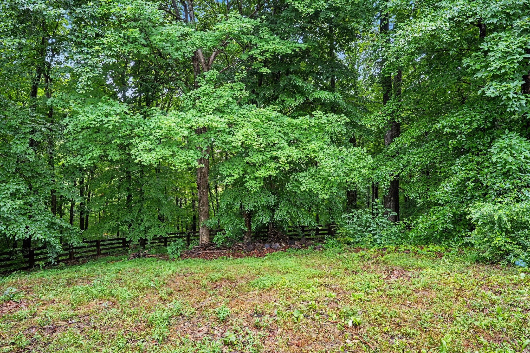 2016 Copper Kettle Circle Pleasant View, TN 37146 - Photo 25 of 26