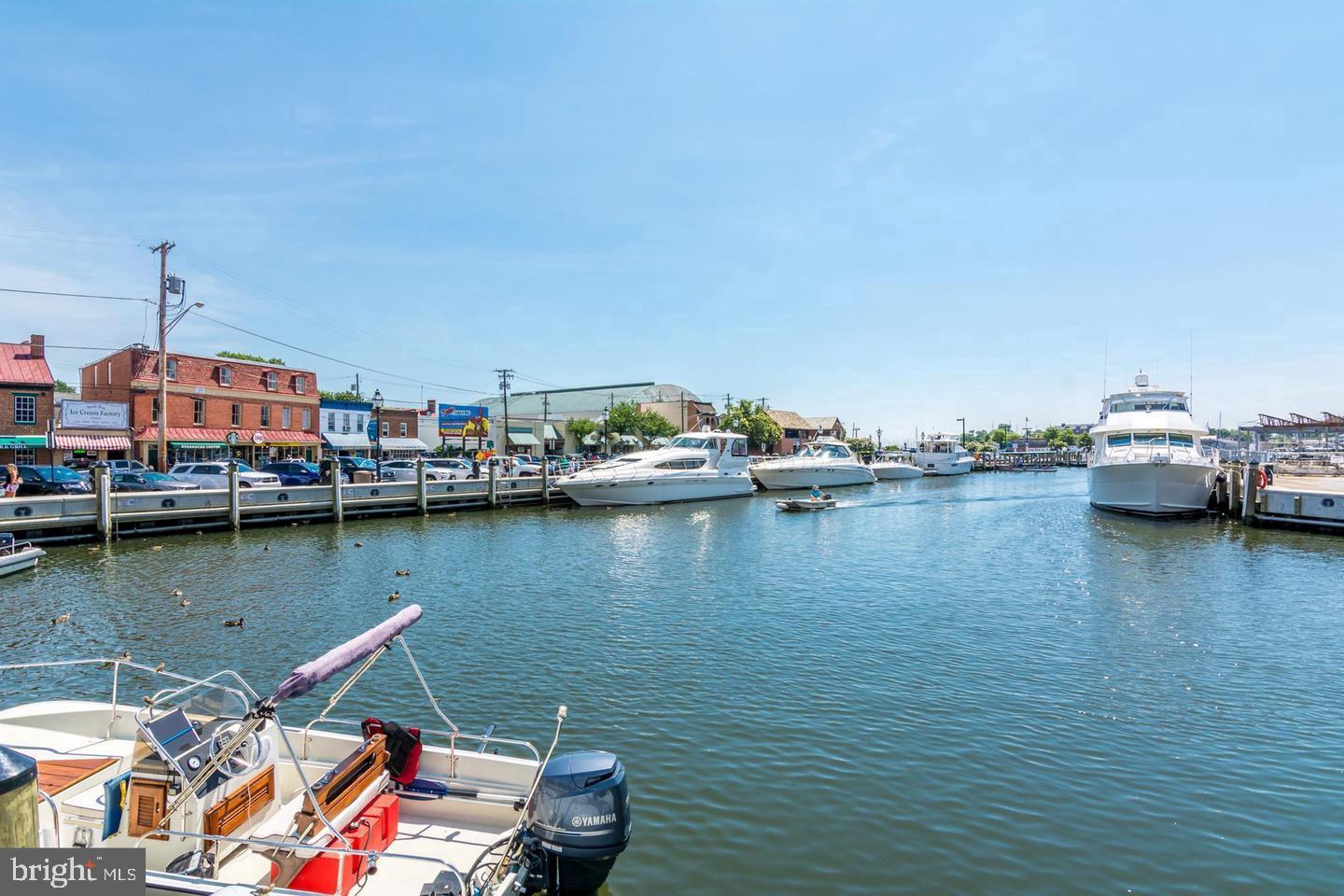 151 Duke Of Gloucester Street Annapolis, MD 21401 - Photo 27 of 28 a view of a lake with boats and trees in the background